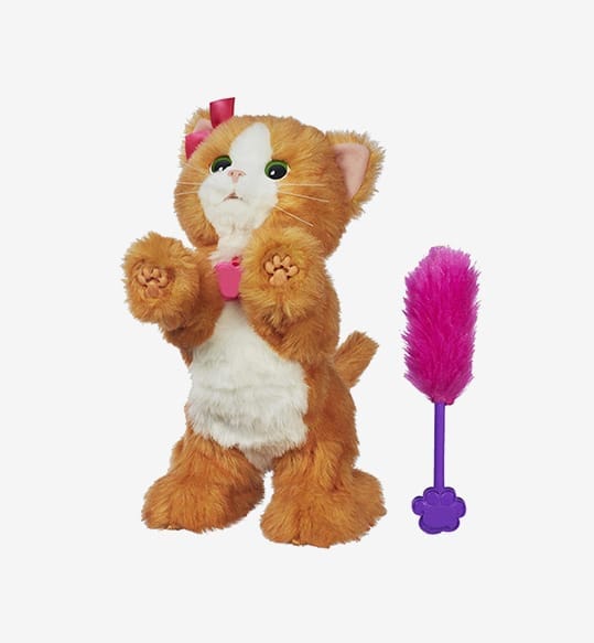 Madewell Provisional - Image 3